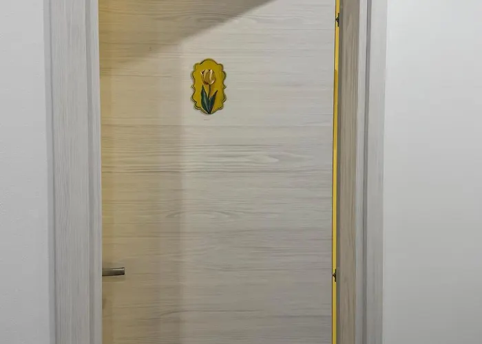 Il Tulipano