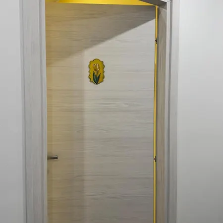 Il Tulipano